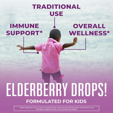 Maryruth Organics Cocomelon Kids Elderberry Syrup USDA Organic Elderberry Sugar Kids Immune Support Supplement for Ages 4-13 Years Clean Label Project Verified Vegan Gluten 1 Fl Oz
