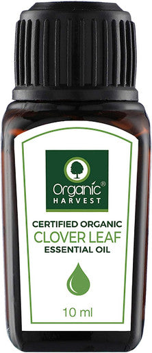 Clover Leaf Essential Oil USDA, OneCert, Certified Organic, 100% Pure, Undiluted, Therapeutic Grade, Excellent for Aromatherapy, 1/3 fl. Oz / 10 ml Organic Harvest