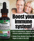 Nature'S Answer Alcohol- Echinacea & Goldenseal 1oz Extract | 6mg Polyphenols 5mg Berberine 2.5mg Hydrastine Per Serving | Natural Immune Booster | Inflammatory Reducer | Single Count