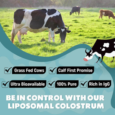 Marafiki Liposomal Bovine Colostrum Supplement - Grass Fed Colostrum Powder - High Bioavailability Easy to Mix (60 Servings)