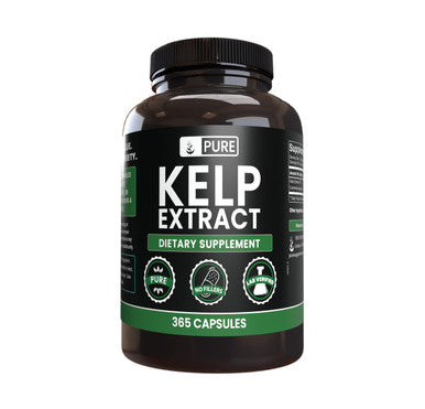 PURE ORIGINAL INGREDIENTS Kelp Extract (365 Capsules) No Magnesium Or Rice Fillers, Always Pure, Lab Verified