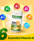 AFC Japan Vitamin B Complex with B1, B2, B3, B6, B12, Folic & Glutathione Yeast Extract, No Synthetics, Non-GMO, Supplement for , Energy, Immune & Nervous System,120 Vegan Caplets