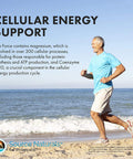 Source s Life Force Multiple Daily Multivitamin High Potency Essential Vitamins, Minerals, Antioxidants & Nutrients - Energy & Immune Boost - 180 Capsules