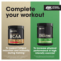 Optimum Nutrition Gold Standard 100% Whey Muscle Building And Recovery Protein Powder With Naturally Occurring Glutamine And Bcaa Amino Acids Double Rich Chocolate Flavour 146 Servings 4.53 Kg