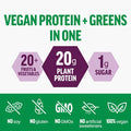 Force Factor Vegan Plant Protein Plant-Based Protein + Greens Greens Powder with 20g Plant Based Protein Digestive Enzymes and Fiber Cinnamon Cereal Flavor 20 Servings (Packaging May Vary)