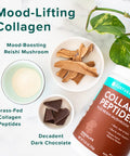 Further Food Chocolate Collagen Peptides Powder GrassFed PastureRaised Hydrolyzed Type 1 3 Protein Gut Health Joint Hair Skin Nails Paleo Keto Sugar 28 Servings