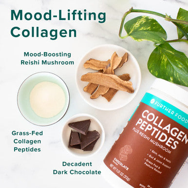 Further Food Chocolate Collagen Peptides Powder GrassFed PastureRaised Hydrolyzed Type 1 3 Protein Gut Health Joint Hair Skin Nails Paleo Keto Sugar 28 Servings