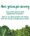 Garden of Life Whole Food Vegetable Supplement - Perfect Food Green Superfood Dietary Powder 600G