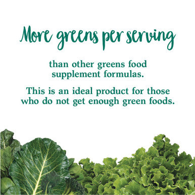 Garden of Life - Perfect Food Super Green Formula Powder 10.58 Oz. 62892