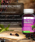2 Pack Elderberry & Sea Moss Gummies, With Vitamin C, Bladderwrack, Burdock, Echinacea, Immune Support For Women, Men, Adults & Kids, Blueberry Flavor 120Ct