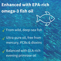 Omegaflex Glucosamine with High Strength Fish Oil, Virgin Evening Primrose Oil, Vitamin C & E, Joint Health Support, with Omega-3 & 6, 70% Concentration High EPA Fish Oil, 60 Softgels