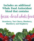 Garden of Life Perfect Food Berry Super Green Fruit & Veggie Formula - 30 Servings 49 Superfoods Greens Sprouts Fruits Veggies Probiotics Spirulina Vegetarian Juice Superfood Powder Supplement