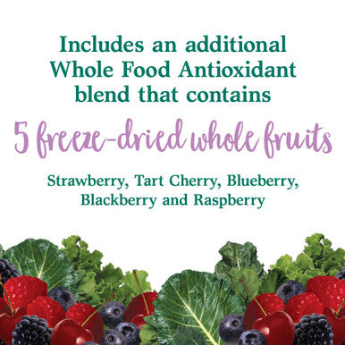 Garden of Life Perfect Food Berry Super Green Fruit & Veggie Formula - 30 Servings 49 Superfoods Greens Sprouts Fruits Veggies Probiotics Spirulina Vegetarian Juice Superfood Powder Supplement