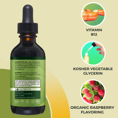 Go Nutrients Vitamin B12 - Fast Absorbing B12 Vitamins, All Natural, Vegan Friendly B12 Sublingual Supplement With 3000 Mcg Methy