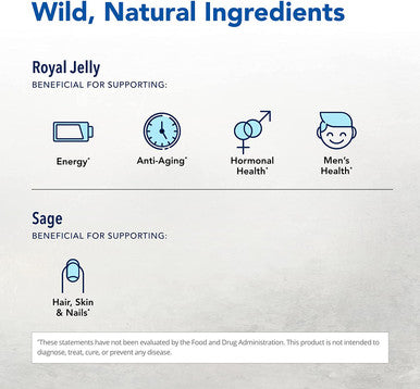 NORTH AMERICAN HERB SPICE Royal Power 120 Capsules Royal Jelly Concentrate Healthy Energy Response Natural Source of Vitamins Fortified with Rosemary Sage NonGMO 60 Servings