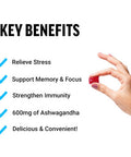Force Factor Amazing Ashwa For Stress Relief, Memory, Focus, And Immune Support Health, Ashwaganda Supplement With Ksm-66 Ashwagandha For Stress, 60 Soft Chews