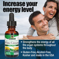 Nature'S Answer White Ginseng Root Alcohol 1 Fluid Ounce | Immune Support | Promotes Cognitive Function | Mental Clarity and Focus