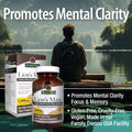 Nature'S Answer Lions Mane Mushroom Powder 1500 mg 90-Capsules | Brain Mushroom Supplement | Promotes Focus Memory Mental Clarity | Vegan Non-GMO | Single Count