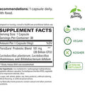 Terry ly FloraSure Probiotic - 30 Capsules - Daily Support for Healthy Digestion - Non-GMO, Vegan, Kosher - 30 Servings