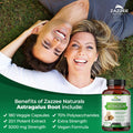 Zazzee Extra Strength Astragalus Root 20:1 Extract, 5000 Mg Strength, 70% Polysaccharides, 180 Vegan Capsules, 6 Month Supply