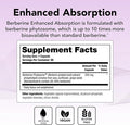Theralogix Ovasitol Inositol Canister + Berberine Enhanced Absorption Bundle 14.12 Ounce & 90 Count (Pack of 2)