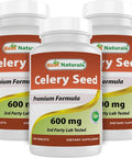 Best Naturals Celery Seed 600 mg 180 Tablets (180 Count (Pack of 3))