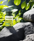 Banyan Botanicals Amla (Amalaki) Tablets Organic Emblica Officinalis Natural Source Of Vitamin C And Antioxidants Supports Digestion And Cleansing* 90 Tablets Non Gmo Sustainably Sourced