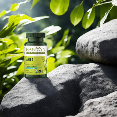 Banyan Botanicals Amla (Amalaki) Tablets Organic Emblica Officinalis Natural Source Of Vitamin C And Antioxidants Supports Digestion And Cleansing* 90 Tablets Non Gmo Sustainably Sourced