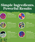 Natures Craft Liquid Multivitamin for Kids Immunity Support - Yummy Toddler Multivitamin Supplement with a C D3 E B6 and D3 Liquid Vitamins for Kids of All Ages - High Absorption Kids Liquid Multivitamin (2 Pack)