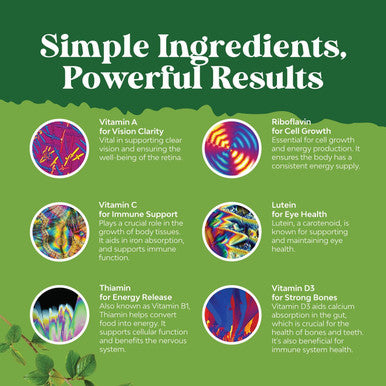 Natures Craft Liquid Multivitamin for Kids Immunity Support - Yummy Toddler Multivitamin Supplement with a C D3 E B6 and D3 Liquid Vitamins for Kids of All Ages - High Absorption Kids Liquid Multivitamin (2 Pack)