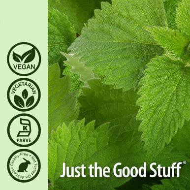 Nature'S Answer Nettle Leaf Vegan Capsules 90 Count | Prostate Support | Natural Energy | Immune Support | Daily Supplement