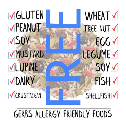 Gerbs Superfood Snack Mix 4 lbs. | Raw Seeds & Unsulfured Sweetened Dried Fruit, Resealable Bag | 5 Sweet-Tart Fruits Meets 5 Crunchy Seeds | Top 14 Allergen-Free