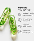 Wholier Plant Based Multivitamin Vegan Omega-3 Dha Epa, Vitamin D, Vitamin B12, Zinc, Vitamin K2, Iron, Iodine, Selenium. 60 Count (30-Day Supply) Glass Bottle