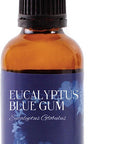 Mystic Moments | Eucalyptus Blue Gum Essential Oil - 50ml - 100% Pure