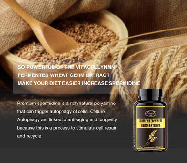 1000Mg Spermidine Supplements Fermented Wheat Germ Extract Capsule With 10Mg Higher Spermidine & Zinc For Antioxidant, Cell Renewal, Immune System And Increases Energy 60 Capsules (1 Bottle)