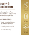Solgar Vitamin B2 (Riboflavin) 100Mg 100 Vegetable Capsules Energy Metabolism Healthy Nervous System NonGmo Vegan Gluten Dairy Kosher 100 Servings