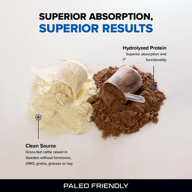 Designs for Sport Beef Protein Powder - NSF Certified for Sport Hydrolyzed Protein - Highly Absorbable with Amino Acids Collagen Precursors - Bone Broth Protein for Athletes (Chocolate 30 Servings)