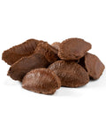 NUTS U.S. ÃƒÂ¢Ã¢â€šÂ¬Ã¢â‚¬Å“ Brazil Nuts In Shell | No Added Colors and No Artificial Flavors | Non-GMO and Natural | Fresh Buttery Taste and Raw | Pasteurized and Polished Brazil Nuts Packed In Resealable Bags (1 LB)