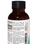 SOURCE S Wellness Elderberry Extract, 2 OZ