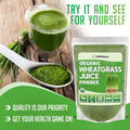 Xprs Nutra Organic Wheatgrass Juice Powder - Sustainably Grown - Instant Wheat Grass Juice Powder Made From Concentrated Juice - More Potent Than Organic Wheatgrass Powder - 16 Ounce