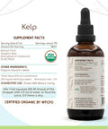 Kelp B120 Usda Organic Tincture | Alcohol-Free Extract, High-Potency Herbal Drops | Certified Organic Kelp (Ascophyllum Nodosum)