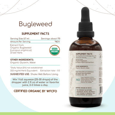 Bugleweed B120 Usda Organic Tincture | Alcohol-Free Extract, High-Potency Herbal Drops, Respiratory System | Certified Organic Bu