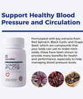 Xtendlife Vasqflow Circulation And Blood Flow Support - Nitric Oxide Supplement To Improve Nitric Oxide, Oxygen Flow, Healthy Blood Pressure & Immunity 100% Vegan, Non-Gmo (90 Count)