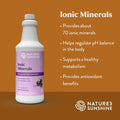Nature'S Sunshine Ionic Minerals with Acai 32 Fl Oz