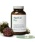 ALGAECAL Plus - Calcium Supplement for Women & Men - Natural Organic Red Algae with Vitamin D3 & K2, Magnesium and 13 Trace Minerals for Bone Health, Easy to Swallow 120 Veggie Caps