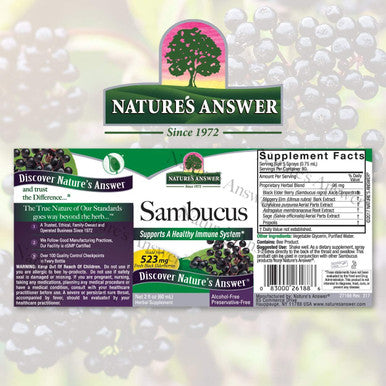Nature'S Answer Sambucus Syrup Extract Spray 2 Fluid Ounces | Immune Booster on The Go | Travel Friendly | Rich in Antioxidants | Natural Immune Support