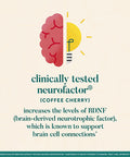 NEURIVA Brain Energy Supplement with Clinically Tested Neurofactor For Focus Concentration Vitamin B12 150mg of Caffeine For An Immediate Energy Boost 30ct Cherry Limeade Effervescent Tablets
