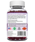 Herbion Naturals Elderberry Gummies with Vitamin C Zinc Healthy Immune System Support Gummies 60 Count Pectin Gummies