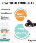 Liposomal Nad+ Supplement 500 Mg, High Absorption, Boost Nad+ With Tmg 250 Mg, Actual Nad Plus More Efficient Than Nicotinamide Riboside, Support Cellular Energy, Healthy Aging 60 Softgels