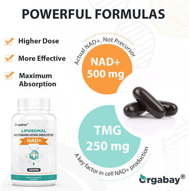 Liposomal Nad+ Supplement 500 Mg, High Absorption, Boost Nad+ With Tmg 250 Mg, Actual Nad Plus More Efficient Than Nicotinamide Riboside, Support Cellular Energy, Healthy Aging 60 Softgels